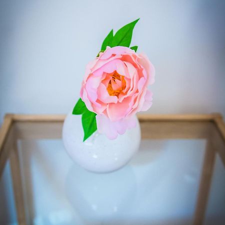 Harmony Hostel زاتور المظهر الخارجي الصورة